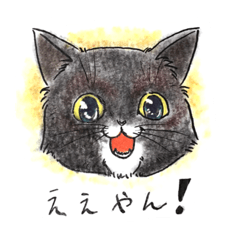 [LINEスタンプ] 自由な猫達