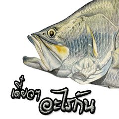 [LINEスタンプ] thailand fishing2