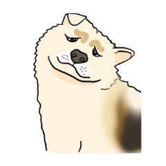 [LINEスタンプ] My old thai bangkaew dog and I