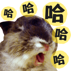 [LINEスタンプ] OH！CHARLIE