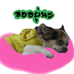 [LINEスタンプ] Toto v.2