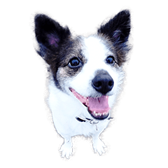 [LINEスタンプ] ickus