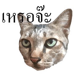[LINEスタンプ] MooMeow