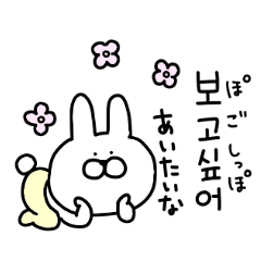 [LINEスタンプ] 高速で返事するウサギの韓国語