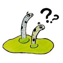 [LINEスタンプ] 海のいきものしりーず 〜Vol.1〜