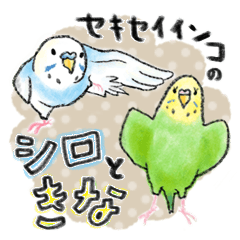 [LINEスタンプ] セキセイインコのシロときな