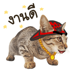 [LINEスタンプ] Ricky Family