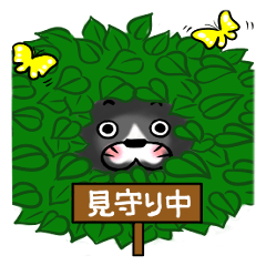 [LINEスタンプ] ネコダ・クロ