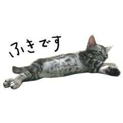 [LINEスタンプ] ふきの日常