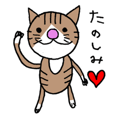 [LINEスタンプ] にゃんこサン