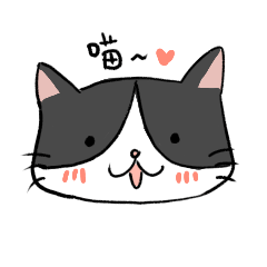 [LINEスタンプ] Cute and handsome cat