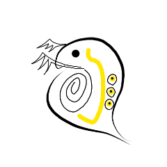 [LINEスタンプ] Daphnia Pulex -ミジンコ‐