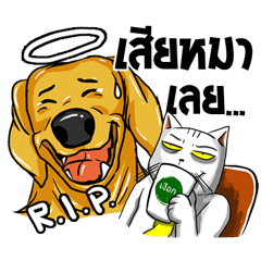 [LINEスタンプ] Stoii the Cat and his friends
