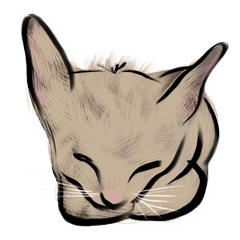 [LINEスタンプ] Whatever cat