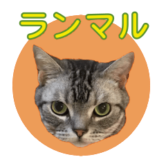 [LINEスタンプ] ねこのランマル