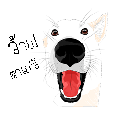 [LINEスタンプ] Cool Dog