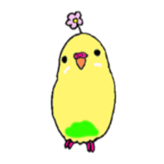 [LINEスタンプ] セキセイインコのぱるちゃん