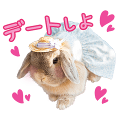 [LINEスタンプ] 実写！プーチン＆マーチンの日常スタンプ