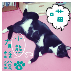 [LINEスタンプ] The most cutiest Kumachyan