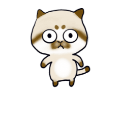 [LINEスタンプ] 動く猫ねのね