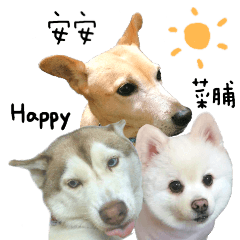 [LINEスタンプ] So cute Puppies