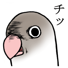 [LINEスタンプ] 変なボタンインコのスタンプ