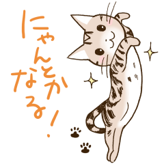 [LINEスタンプ] アメショのモカ2