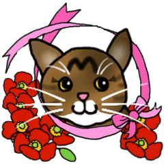 [LINEスタンプ] サビ猫チャピちゃん