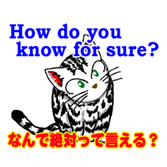 [LINEスタンプ] 猫で英会話 よく使う英語編vol3