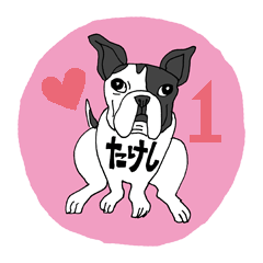 [LINEスタンプ] ボストンテリアのたけし1