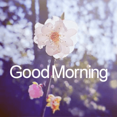 [LINEスタンプ] Good Morning Flowers