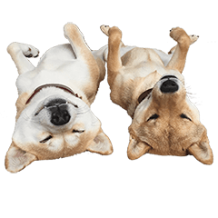 [LINEスタンプ] Hana ＆ Ichi