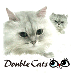 [LINEスタンプ] Double Cats 2