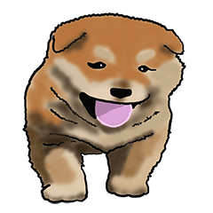 [LINEスタンプ] Xiao Chai dog 0329