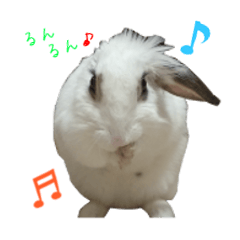 [LINEスタンプ] うさぎのシェリー