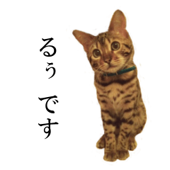 [LINEスタンプ] るぅの関西弁スタンプの画像（メイン）