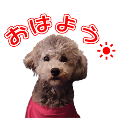 [LINEスタンプ] 斗々ちゃんの1日