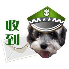 [LINEスタンプ] My Schnauzer