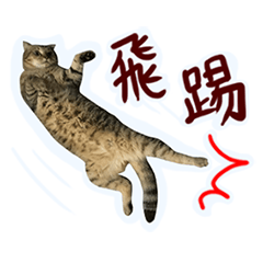 [LINEスタンプ] CC daily life