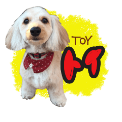 [LINEスタンプ] TOY