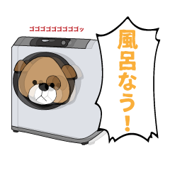 [LINEスタンプ] スーパーコロちゃんスタンプ
