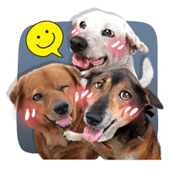[LINEスタンプ] Dogs Leela