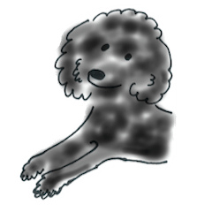 [LINEスタンプ] トイプードル黒