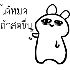 [LINEスタンプ] It is a Rabbit not a Cat