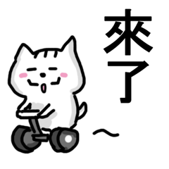 [LINEスタンプ] chao hu cat part4