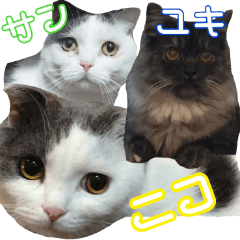 [LINEスタンプ] ニコとユキとサン