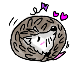 [LINEスタンプ] ハリネズミのハリ吉