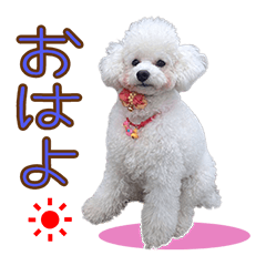 [LINEスタンプ] 『たまてん日記』