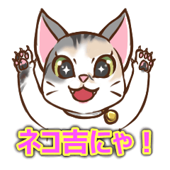 [LINEスタンプ] ネコ吉スタンプ Vol.1