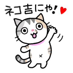 [LINEスタンプ] ネコ吉スタンプ Vol.2